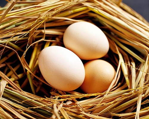 trứng tốt cho những người stress