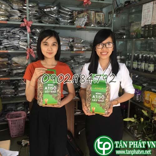 Phân phối bán hoa atiso tại Quảng Ninh giúp lọc máu